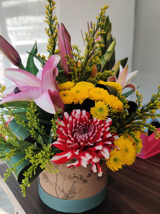 Lilly n Rainbow Bliss