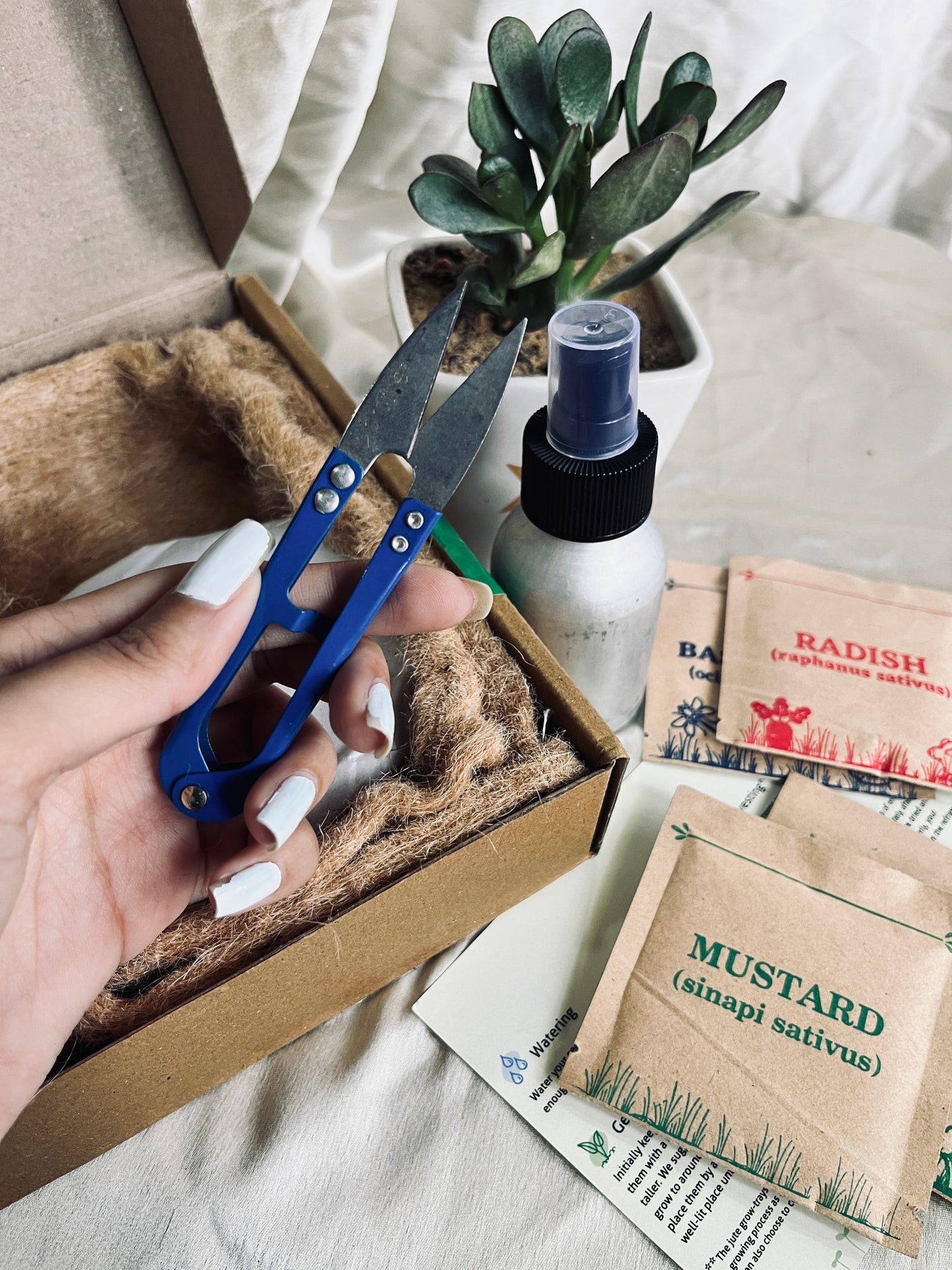 2 Seeds Mini Garden DIY Kit Florenzaa