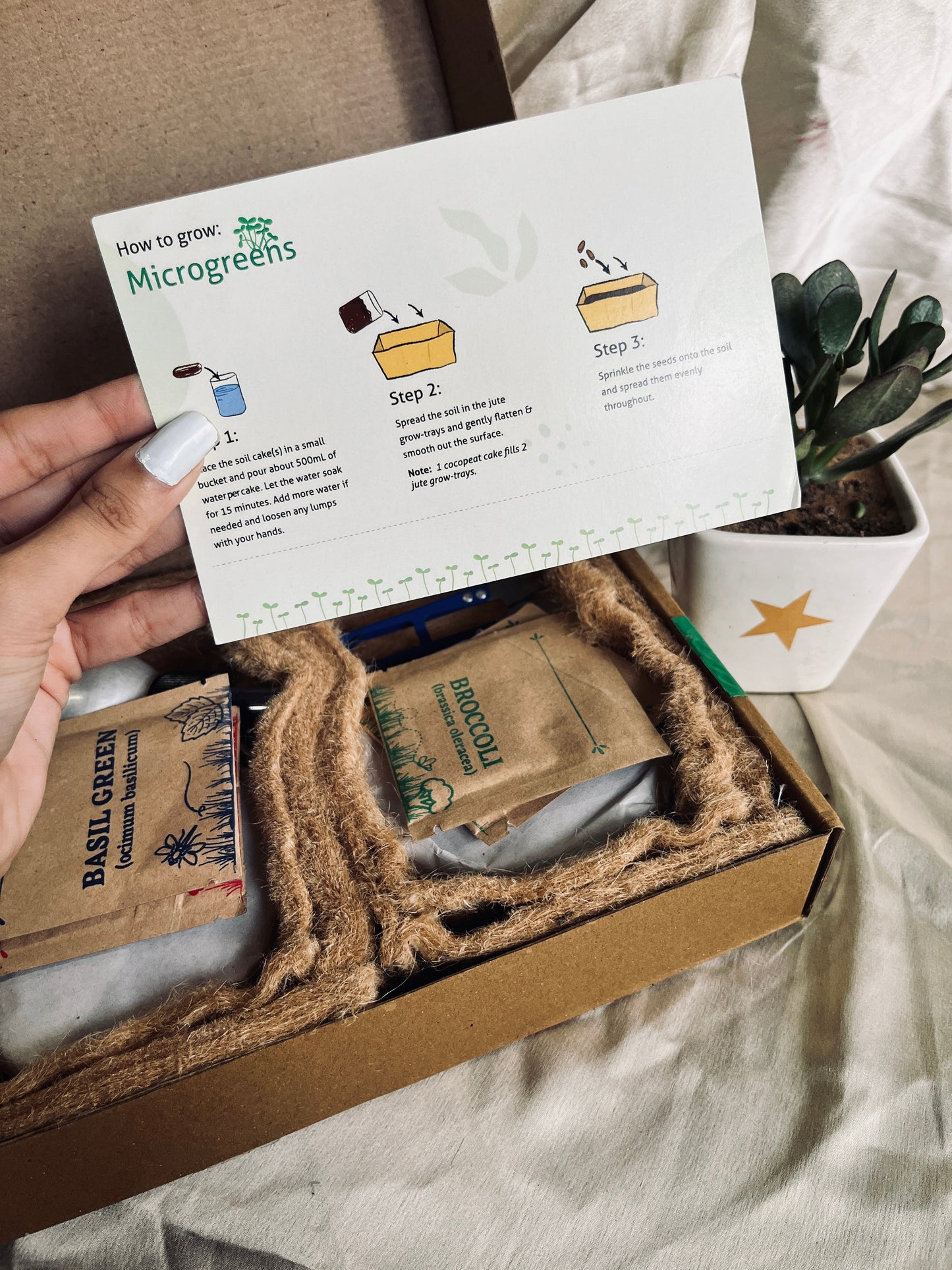2 Seeds Mini Garden DIY Kit Florenzaa