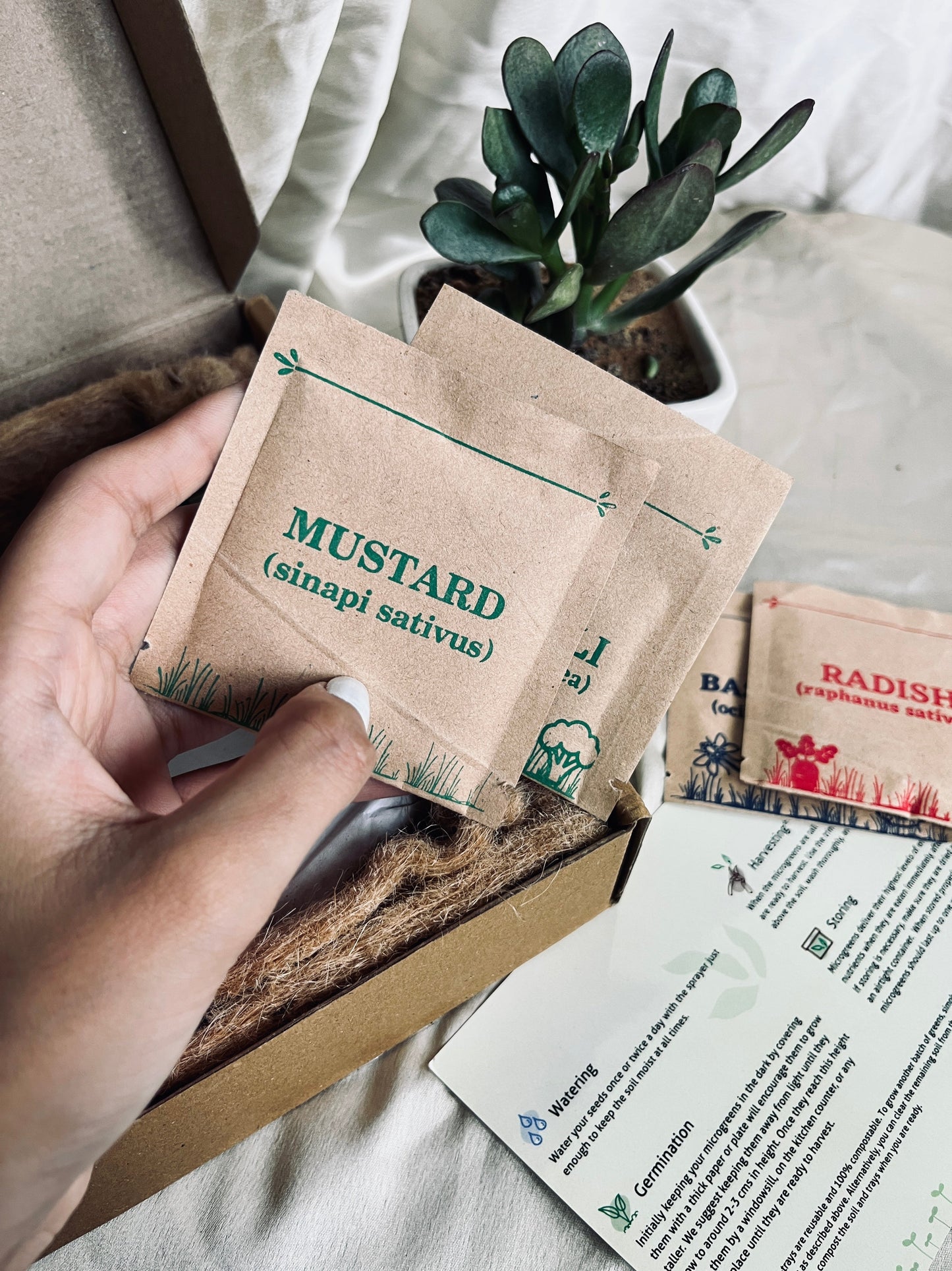2 Seeds Mini Garden DIY Kit Florenzaa