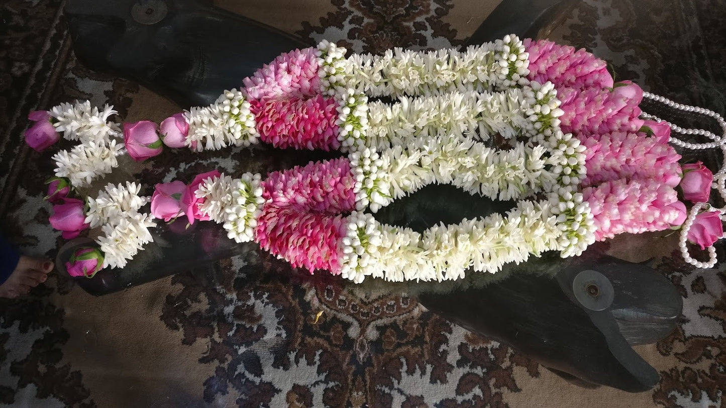 Blushing Elegance Florenzaa