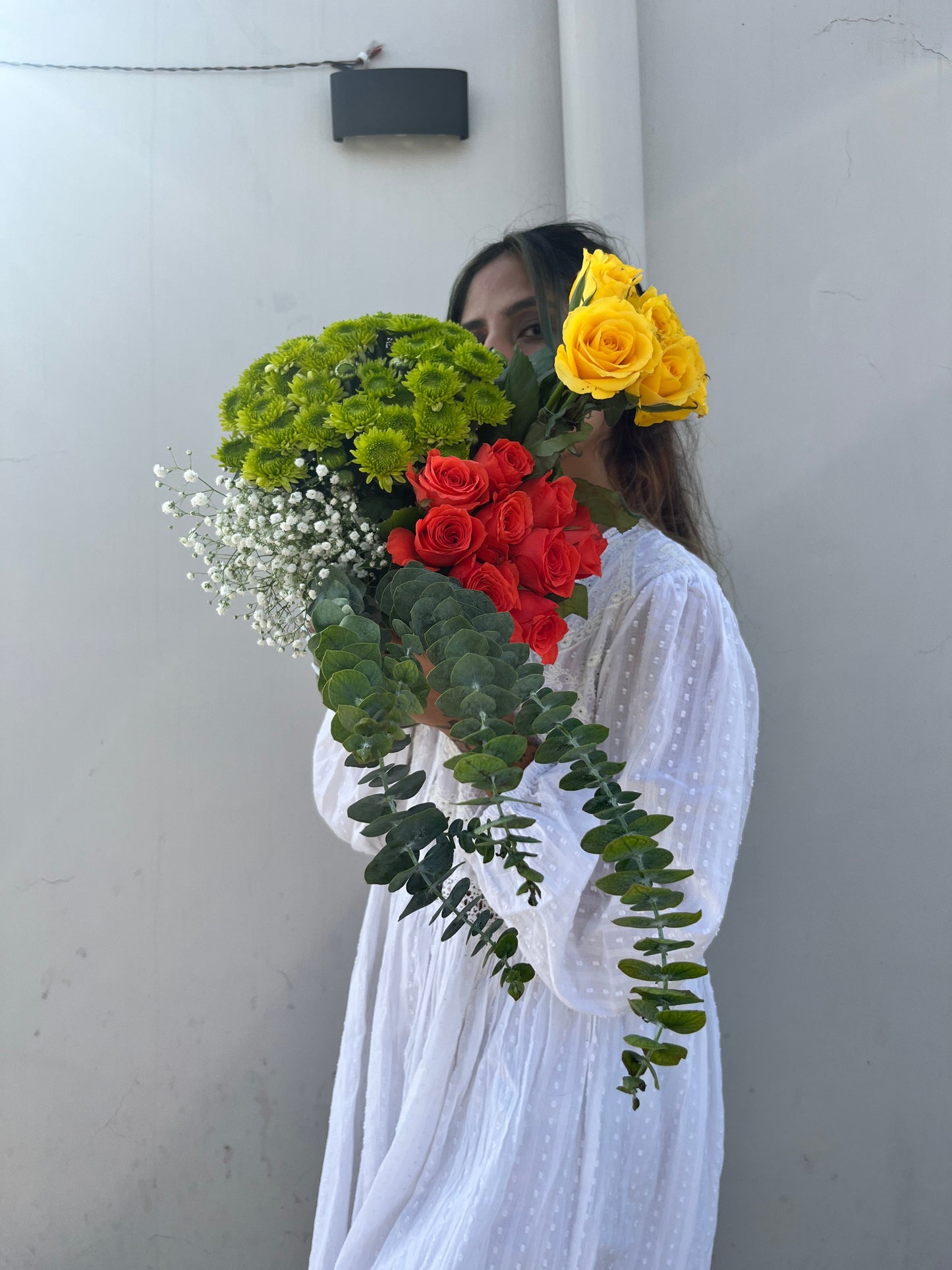 Captivating Carousel Florenzaa