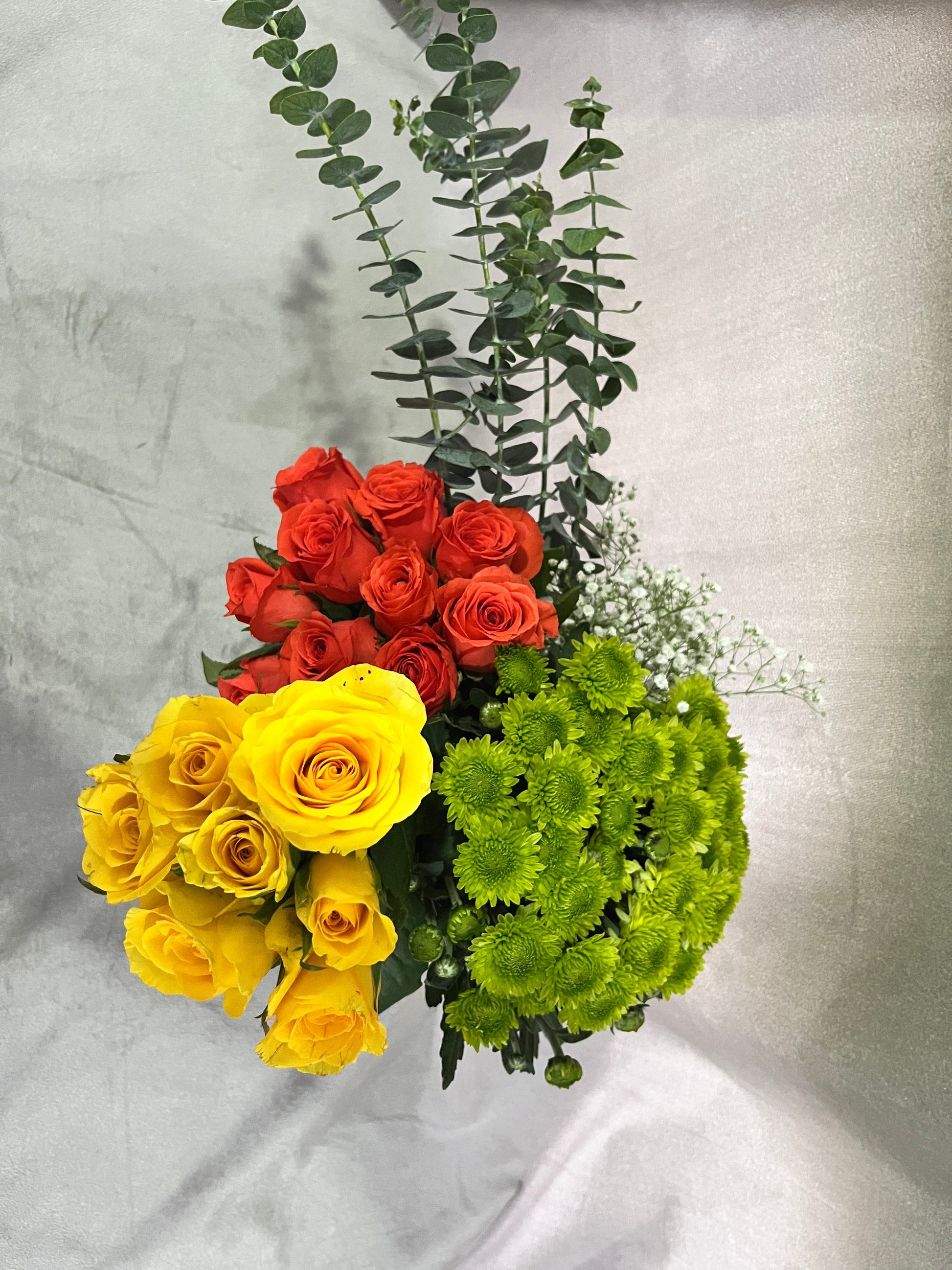 Captivating Carousel Florenzaa