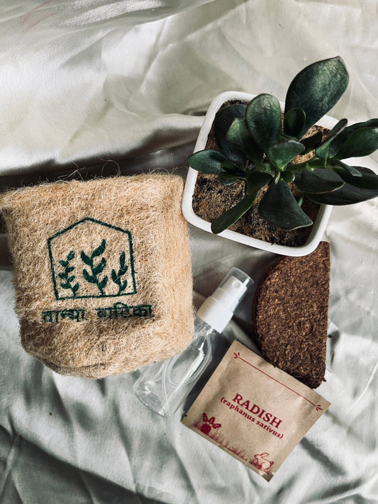 Grow & Eat DIY Kit Florenzaa