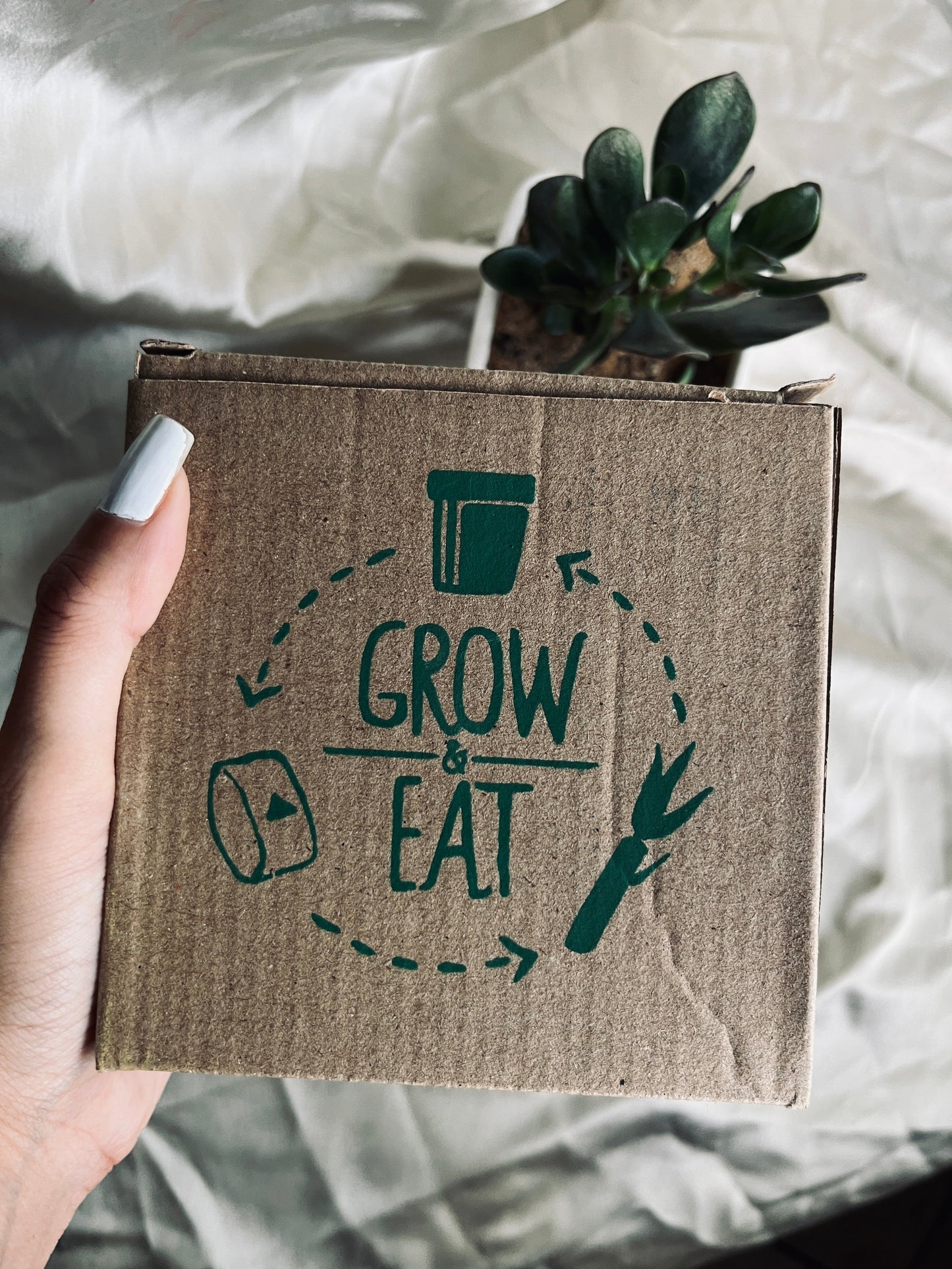 Grow & Eat DIY Kit Florenzaa