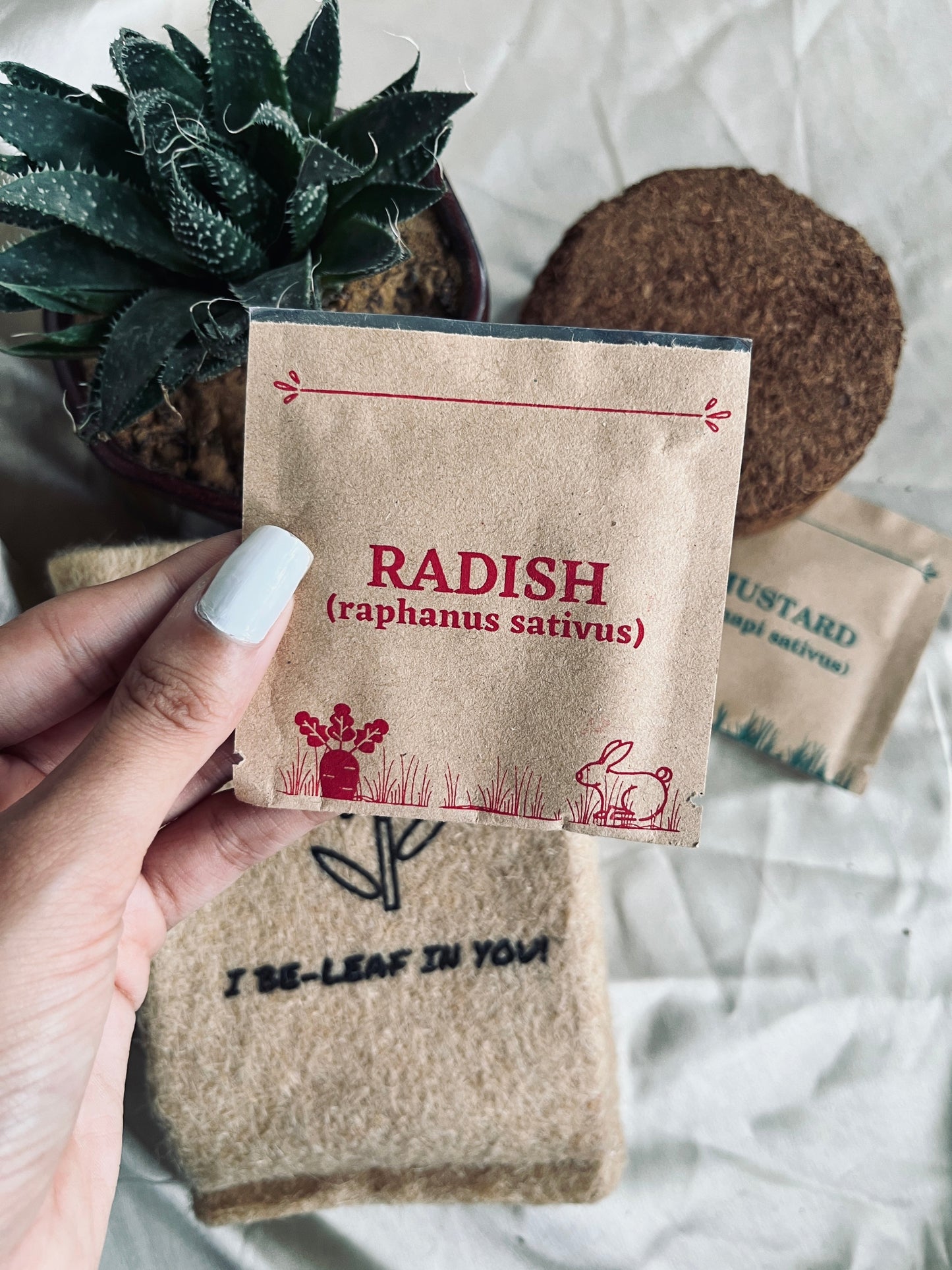 Mini Garden Pack DIY Kit Florenzaa