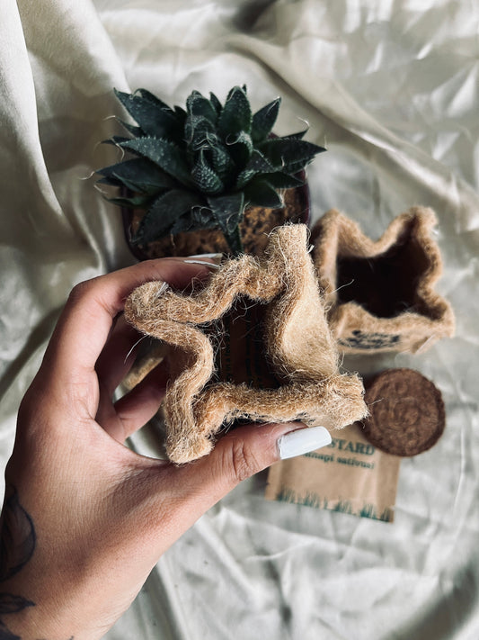 Pocket Green DIY Kit Florenzaa