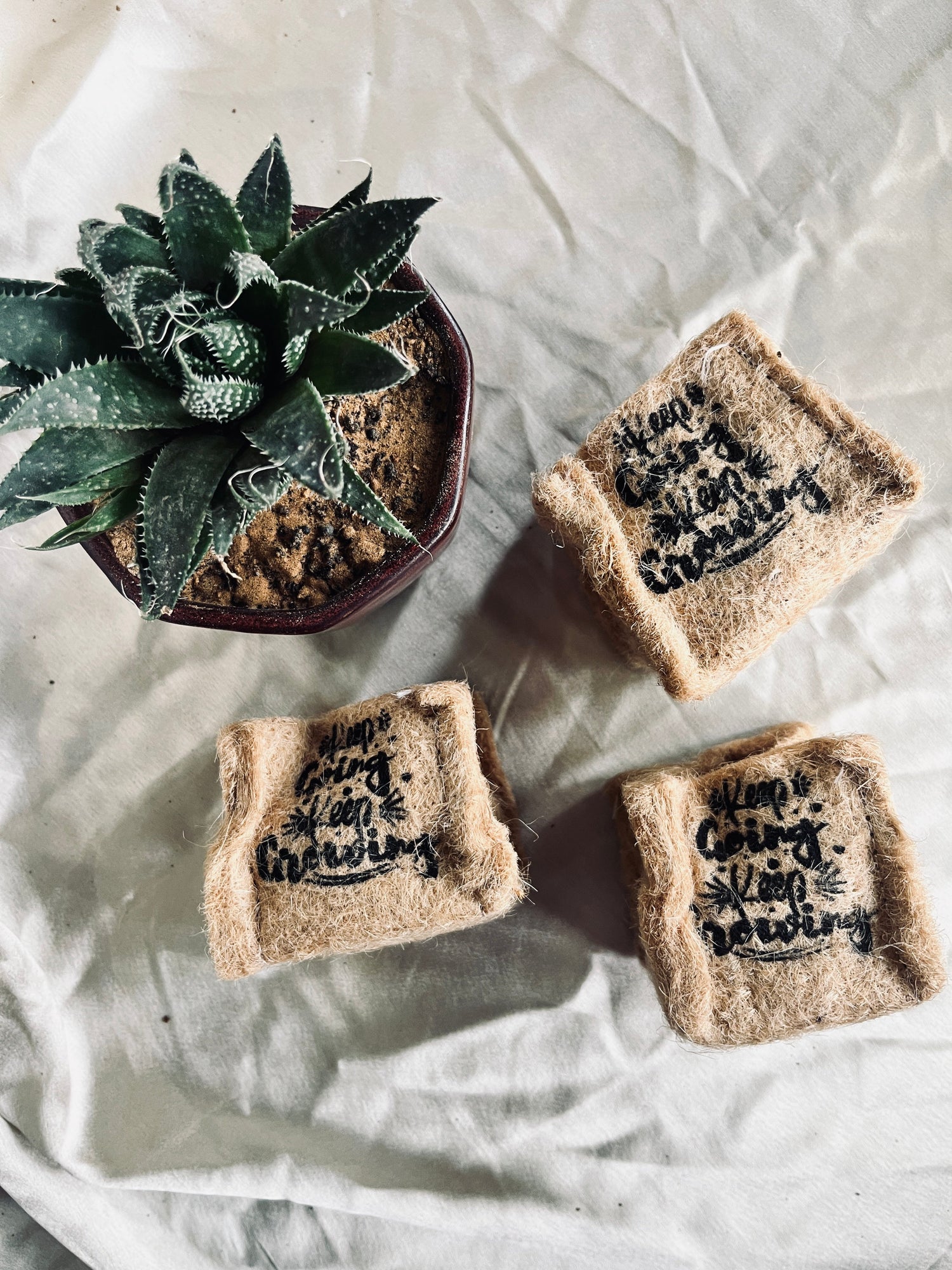 Pocket Green DIY Kit Florenzaa