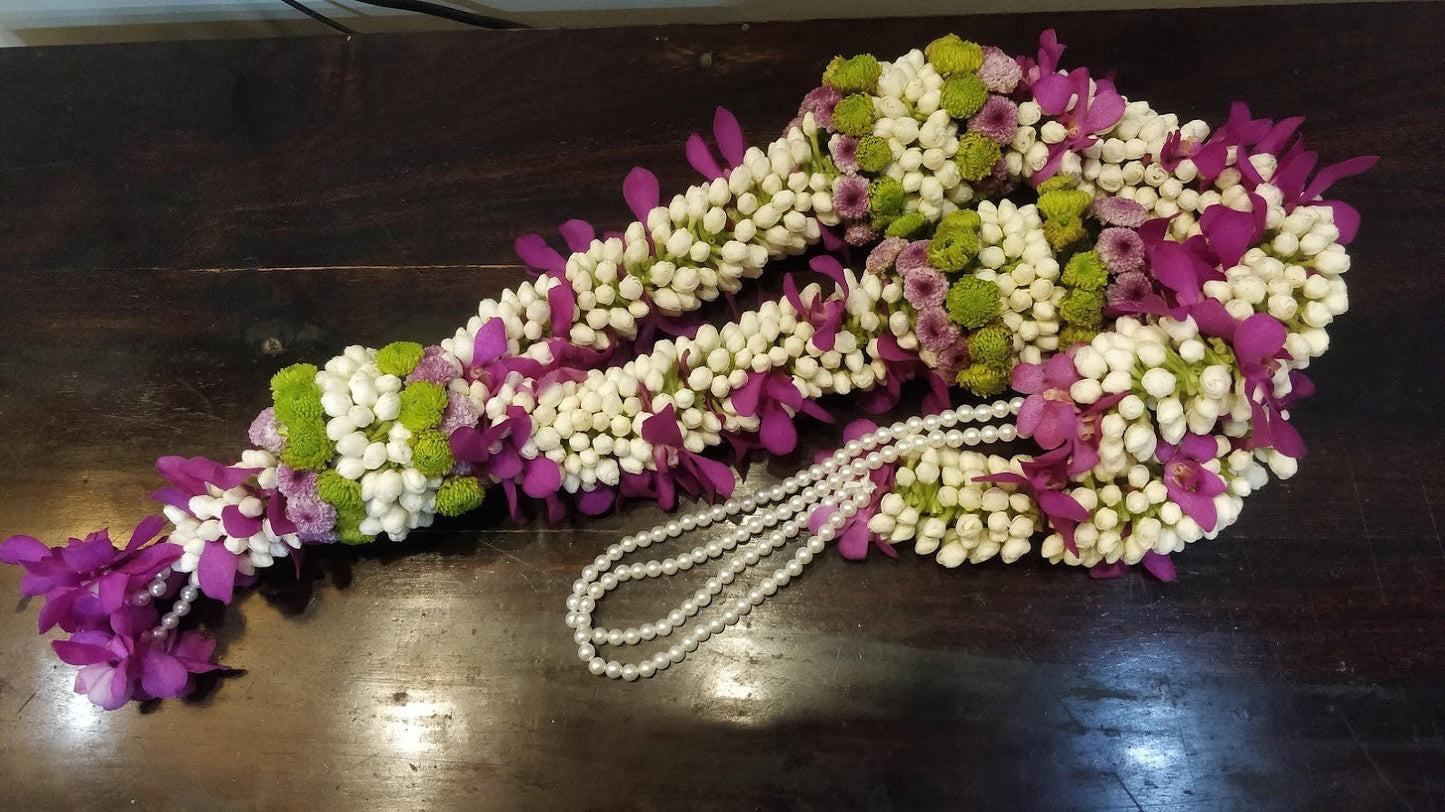 Purple Majesty Florenzaa