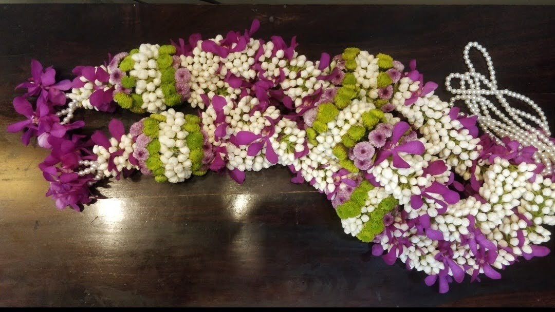 Purple Majesty Florenzaa