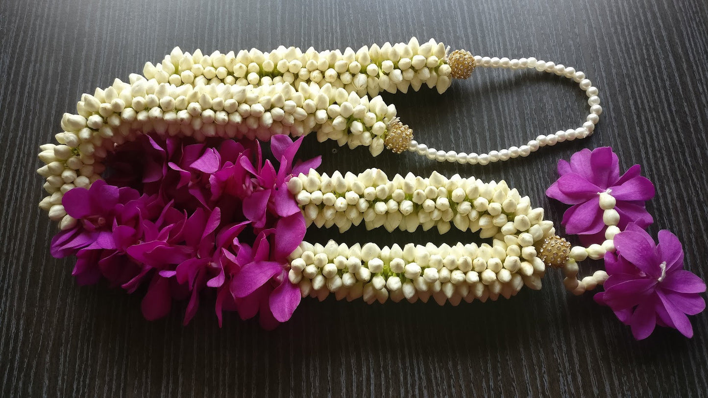 Royal Twilight Florenzaa