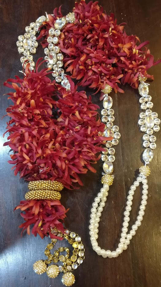 Scarlet Spider Florenzaa