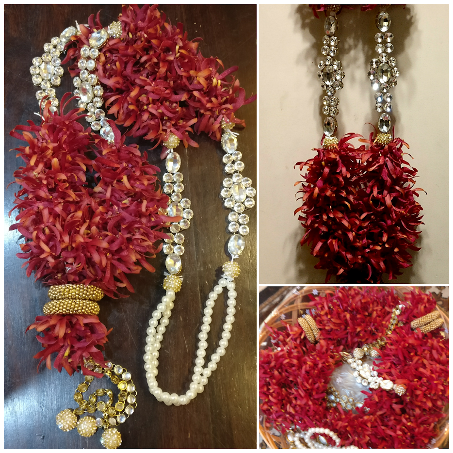 Scarlet Spider Florenzaa