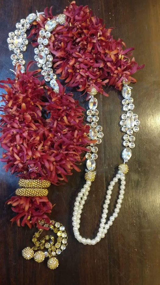 Scarlet Spider Florenzaa