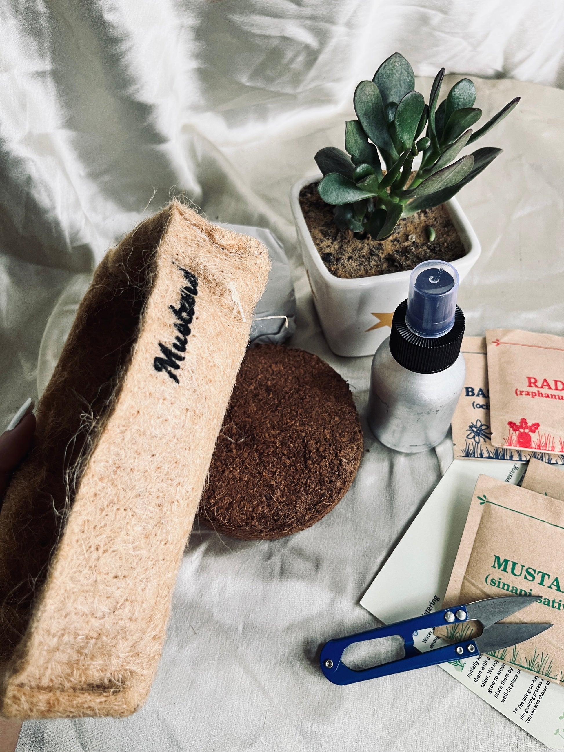 mini garden seeds Mini Garden DIY Kit – Florenzaa Design and Styling