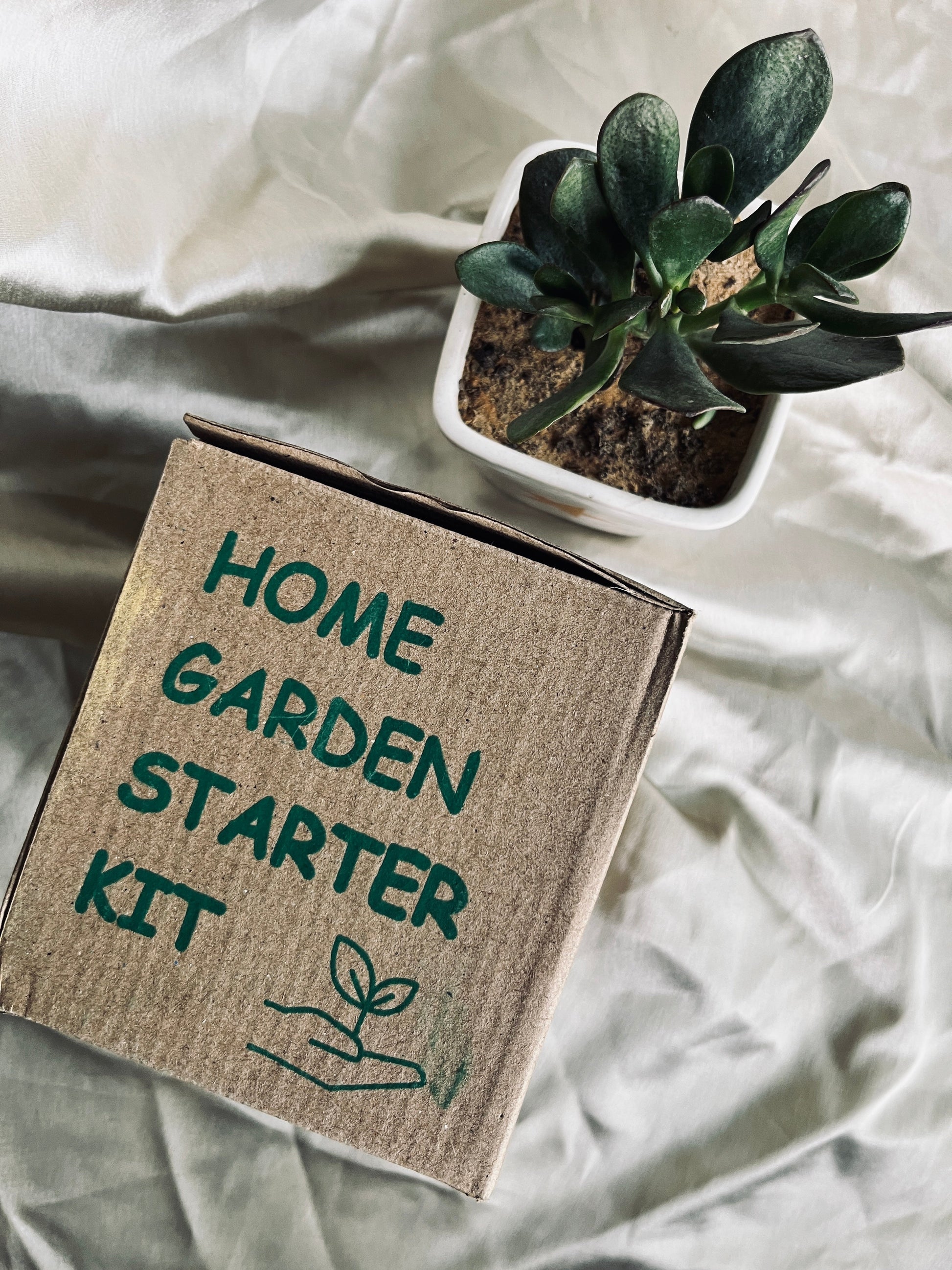 Grow & Eat DIY Kit Florenzaa